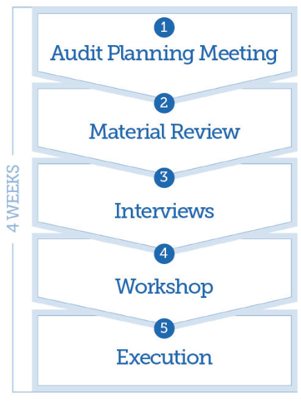 SPM Audit Steps